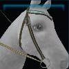 Celtic western bridle