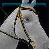 Christmassy western bridle