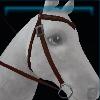 Cold weather western bridle