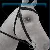 Black wilderness western bridle