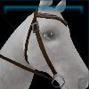 Brown wind western bridle