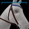 Blue adventurer western bridle