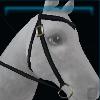 Purple dusk western bridle