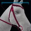 Valentine's Day western bridle