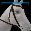 Dark city western bridle