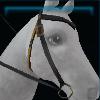 Bumblebee-colored western bridle