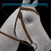 Brown western bridle