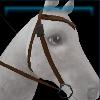 Stylish brown western bridle