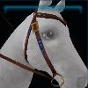 Western star western bridle