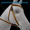 Orange adventurer western bridle
