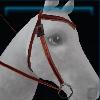 Red adventurer western bridle
