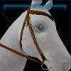 Orange Jarla western bridle