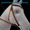 Brown Summer western bridle