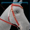 Clownfish western bridle