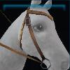 Brown competition western bridle