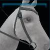 Turquoise beach western bridle