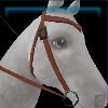 Pink beach western bridle