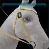 Yellow beach western bridle