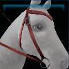 Red riding instructor's western bridle