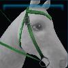 Green riding instructor's western bridle