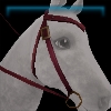 Maroon storm western bridle