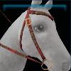 Red harvest western bridle
