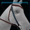 Brown storm western bridle