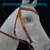 Brown parade western bridle
