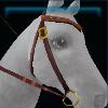 Violet harvest western bridle