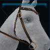 Brown hurricane western bridle