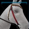 Brown classic western bridle