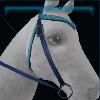 Blue leopard western bridle