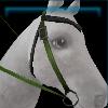Green adventurer western bridle