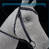 Black leopard western bridle