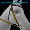 Yellow adventure western bridle