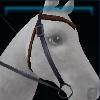 Black adventure western bridle