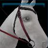 Purple adventure western bridle