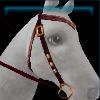 Epona-inspired western bridle