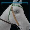 Green Winter rides western bridle