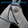 Blue terrain rides western bridle