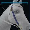 Purple motions western bridle