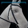 Dark blue competition western bridle