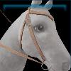 Brown Princess western bridle