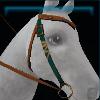 Brown and green coast western bridle
