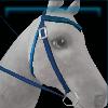Blue water western bridle