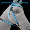 Blue and brown sporty western bridle