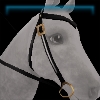 Black birthday western bridle