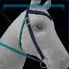 Turquoise training western bridle