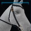 Dark equestrian western bridle