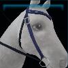 Stylish Winter western bridle